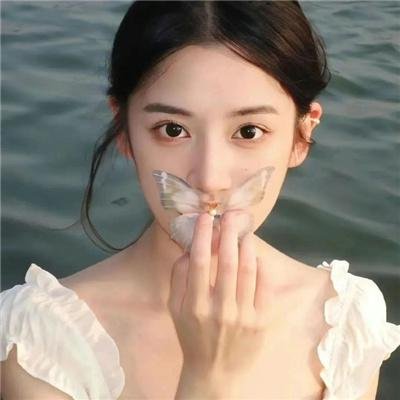 直言真相第一季