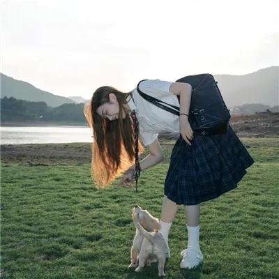 神秘博士:普世欢腾